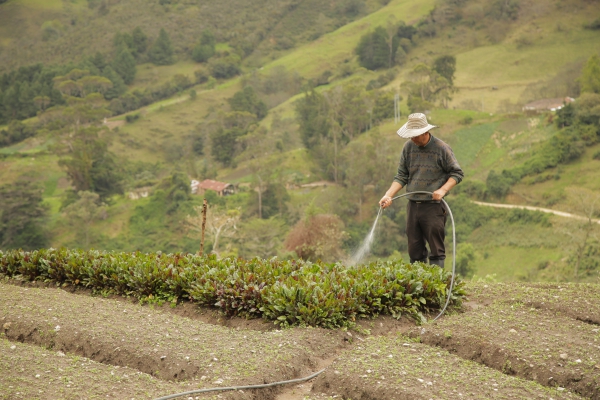 Sustainable water use in agricultural supply chains - The WaterData4Action Approach